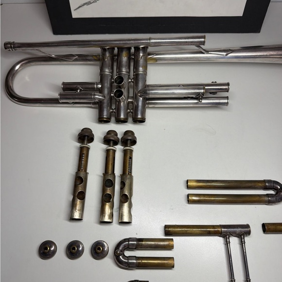 True Tone - Picture 13 of 16